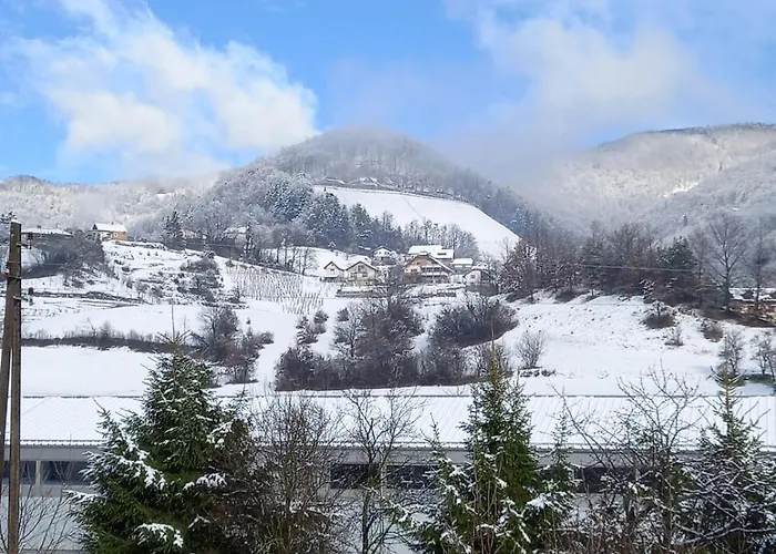 Spacious 2 Bed Near Town Casa vacanze Rogaška Slatina